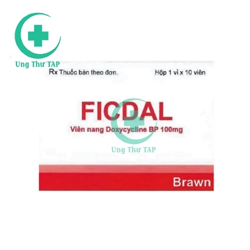 Ficdal 100mg Brawn - Thuốc điều trị các nhiễm khuẩn hiệu quả