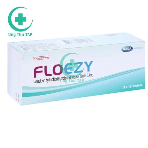 Floezy - Thuốc điều trị viêm đường tiết niệu hiệu quả