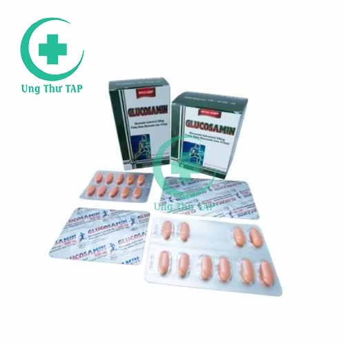 Glucosamin 500mg Khánh Hòa - Thuốc điều trị thoái hóa khớp