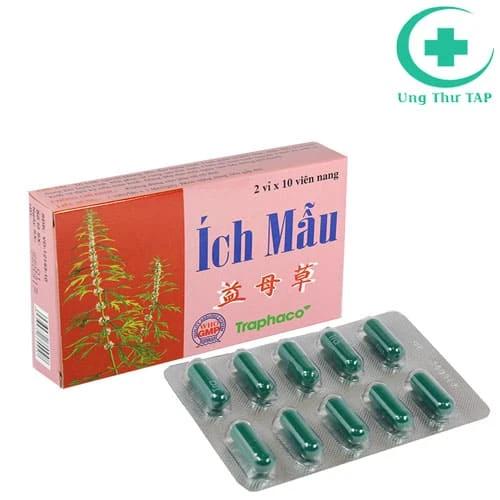 Ích mẫu - Thuốc điều trị rối loạn kinh nguyệt hiệu quả