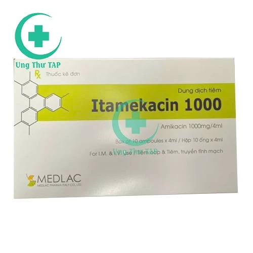 Itamekacin 1000 - Thuốc điều trị nhiễm khuẩn nặng hiệu quả