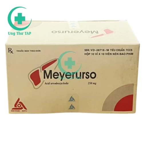 Meyerurso  250mg - Thuốc tán sỏi,thông mật