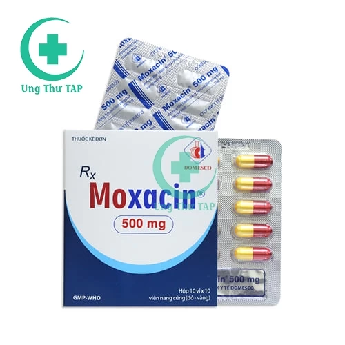 Moxacin - Thuốc điiều trị nhiễm khuẩn dạng viên nang của Domesco