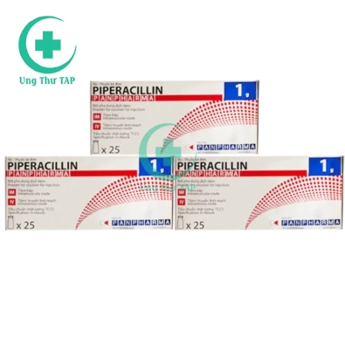 Piperacillin Panpharma 1g - Thuốc kháng sinh nhập khẩu