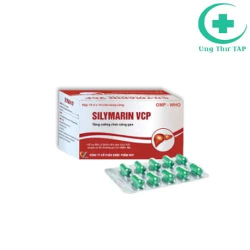 Silymarin VCP - Thuốc hỗ trợ điều trị bệnh viêm gan mãn tính