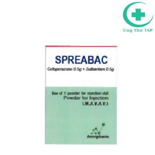 Spreabac Amvipharm - Thuốc điều trị nhiễm khuẩn chất lượng