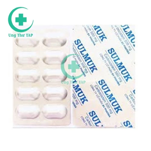 Sulmuk - Thuốc điều trị viêm phế quản, viêm mũi họng hiệu quả 