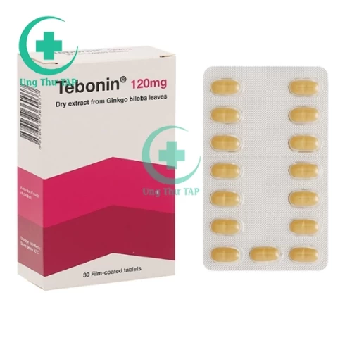 Tebonin - Thuốc trị rối loạn tuần hoàn máu não của Đức