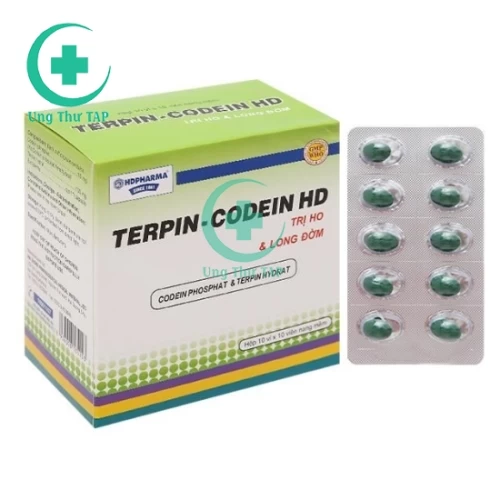 Terpin - Codein HD - Thuốc trị ho long đờm của HDPharrma