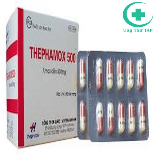 Thephamox 500 - Thuốc điều trị các bệnh nhiễm trùng hiệu quả