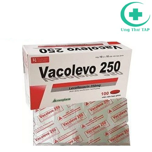Vacolevo 250 - Thuốc điều trị nhiễm trùng hiệu quả của Vacopharm