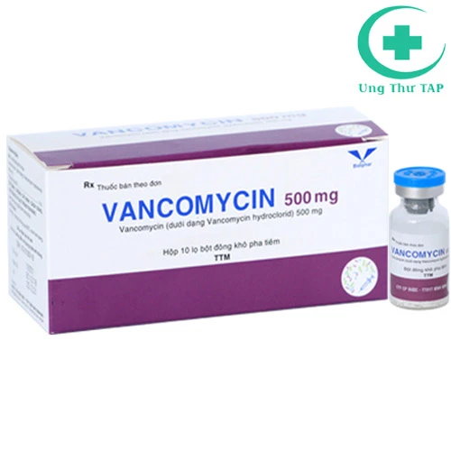 Vancomycin 500mg Bidiphar - Thuốc điều trị nhiễm trùng hiệu quả