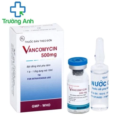 Vancomycin 500mg Bidiphar - Thuốc điều trị nhiễm trùng hiệu quả