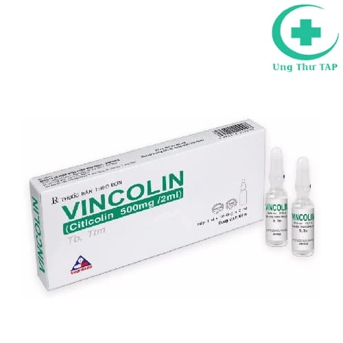 Vincolin 500mg/2ml Vinphaco - Điều trị bệnh lý về hệ thần kinh