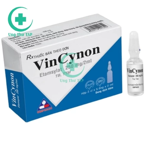 Vincynon 250mg/2ml - Cầm máu do các mao mạch bị vỡ