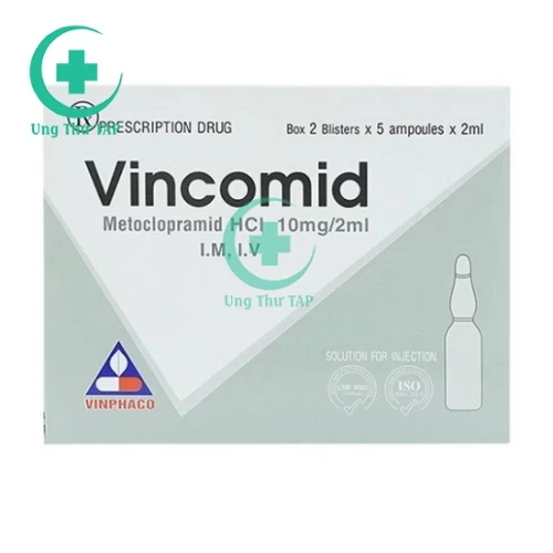 Vingomin 0,2mg/1ml - Thuốc phòng và điều trị chảy máu sau sinh