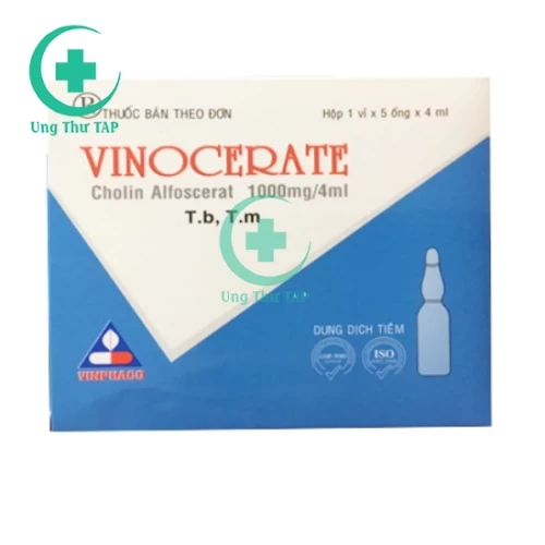 Vinocerate 1g/4ml Vinphaco - Thuốc điều trị bệnh Alzheimer
