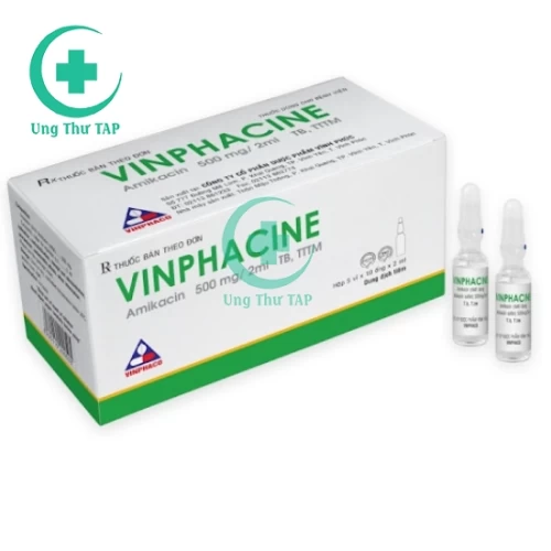 Vinphacine 500mg/2ml - Thuốc điều trị nhiễm khuẩn nặng