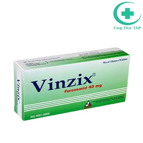 Vinzix 40mg Vinphaco (viên) - Thuốc điều trị phù hiệu quả