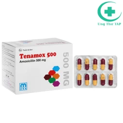 Tenamox 500 - Thuốc điều trị nhiễm khuẩn đường hô hấp, tiết niệu