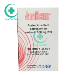 Amikan 500mg/2ml Anfarm - Thuốc nhiễm khuẩn chất lượng