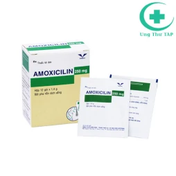 Amoxicilin 250mg Bidiphar - Thuốc điều trị nhiễm khuẩn tốt nhất