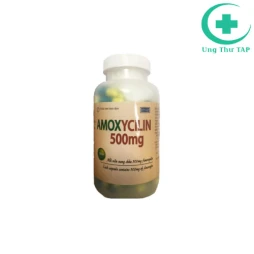 Amoxycilin 500mg Vidipha - Thuốc điều trị nhiễm khuẩn hiệu quả