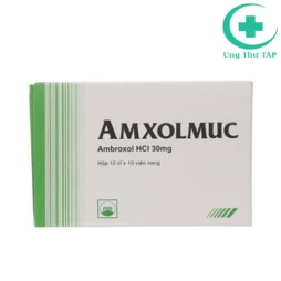 Amxolmuc 30mg - Thuốc điều trị các bệnh đường hô hấp hiệu quả