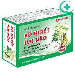 Bổ huyết ích não - thuốc bổ não của DP Nam Dược