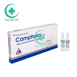 Camphora - Thuốc điều trị suy tim, trợ tim của Vinphaco