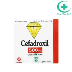 Cefadroxil 500mg Vidipha - Thuốc nhiễm khuẩn chất lượng