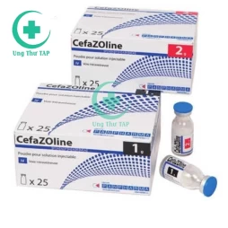 Cefazoline Panpharma - Thuốc điều trị nhiễm trùng hiệu quả