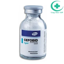 Cefobid Inj 1g 1's - Thuốc điều trị nhiễm khuẩn chất lượng