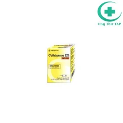 Ceftriaxone EG 1g/10ml - Thuốc điều trị nhiễm trùng máu, ổ bụng