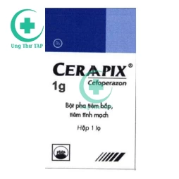 Ceraapix - Thuốc chống viêm túi mật, ống mật một cách hiệu quả