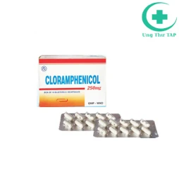 Cloramphenicol 250mg Quapharco - Thuốc trị nhiễm khuẩn dạng uống