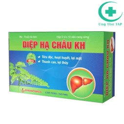 Diệp hạ châu Khaihapharco - Thuốc điều trị viêm gan hiệu quả