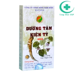 Dưỡng tâm kiện tỳ hoàn - Giúp bồi bổ khí huyết