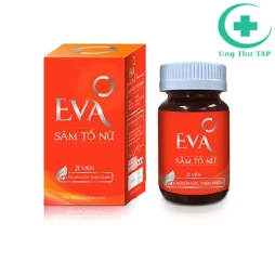 Eva Sâm tố nữ - Sản phẩm hỗ trợ tăng cường nội tiết tố nữ