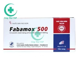 Fabamox 500mg - Thuốc trị nhiễm khuẩn hô hấp, da của Pharbaco