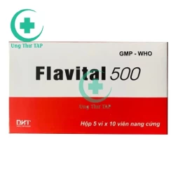 Flavital 500 - Thuốc điều trị bệnh huyết áp, suy giảm trí nhớ