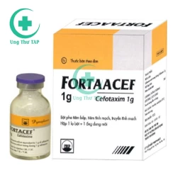 Fortaacef 2g Pymepharco - Thuốc điều trị các bệnh nhiễm khuẩn nặng