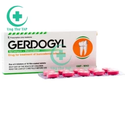 Gerdogyl - Thuốc điều trị nhiễm trùng hiệu quả của Nghệ An