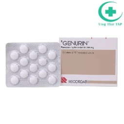 Gerurin 200mg - Thuốc điều trị bệnh lý đường tiết niệu