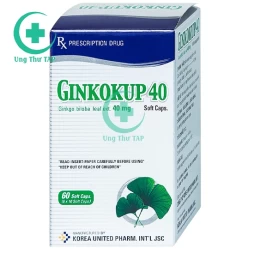 Ginkokup 40mg - Hỗ trợ bổ não, tăng cường trí nhớ hiệu quả