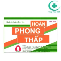 Hoàn phong thấp Hanapharm - Thuốc điều trị phong tê thấp