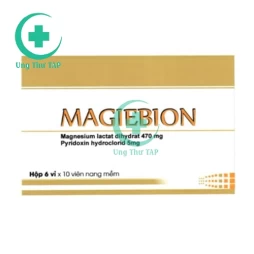Magiebion - điều trị trường hợp thiếu Magnesi, tạng co giật.