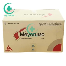 Meyerurso  250mg - Thuốc tán sỏi,thông mật