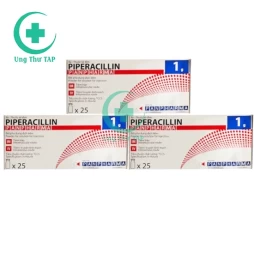 Piperacillin Panpharma 1g - Thuốc kháng sinh nhập khẩu