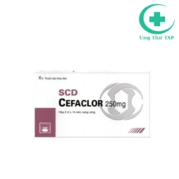 SCD Cefaclor 250mg - Thuốc điều trị nhiễm khuẩn của Pymepharco